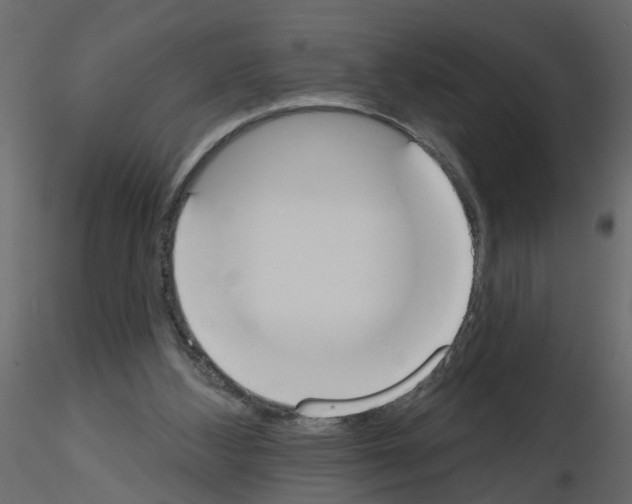 X0000115710108200912241552