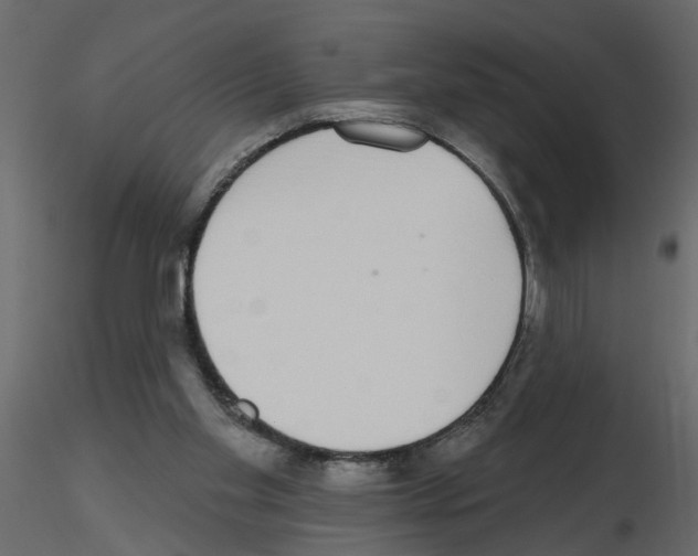 X0000115710109200912241552