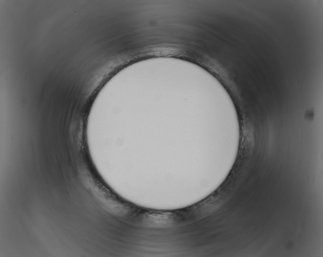 X0000115710110200912241552