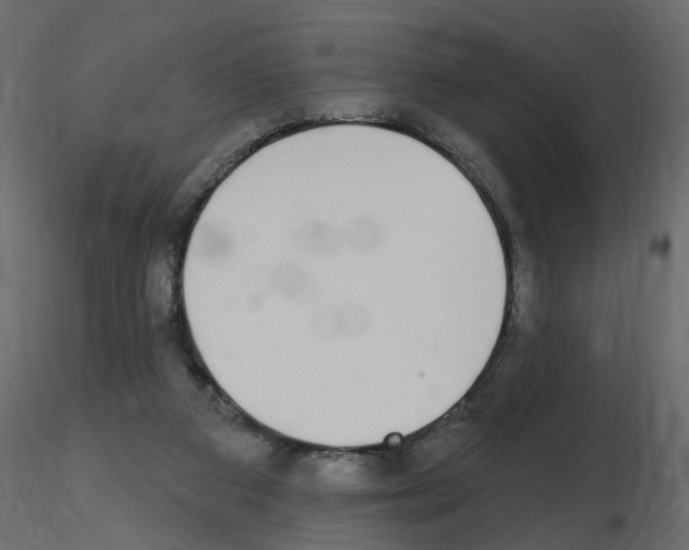 X0000115710113200912241552