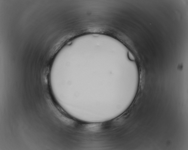 X0000115710114200912241552