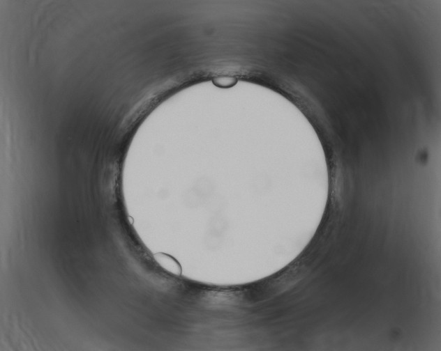 X0000115710115200912241552