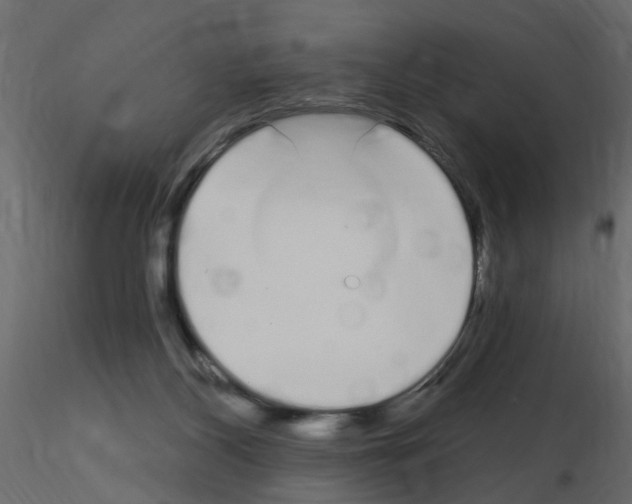 X0000115710116200912241552