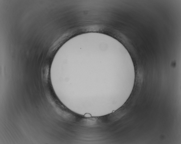 X0000115710118200912241552