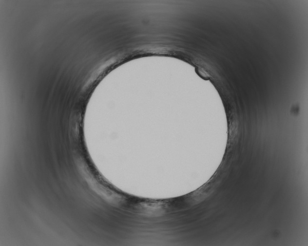 X0000115710120200912241552