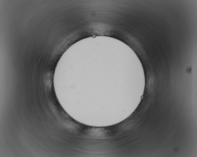 X0000115710121200912241552