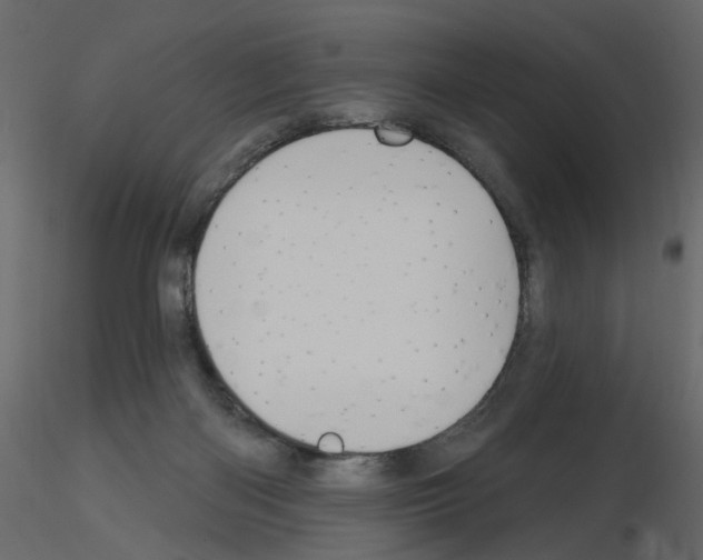 X0000115710122200912241552