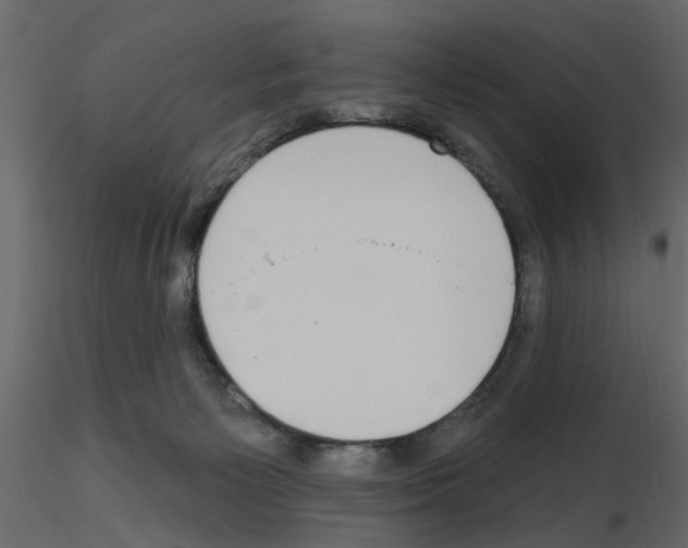 X0000115710125200912241552