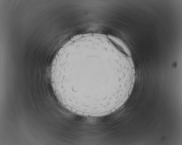 X0000115710127200912241552