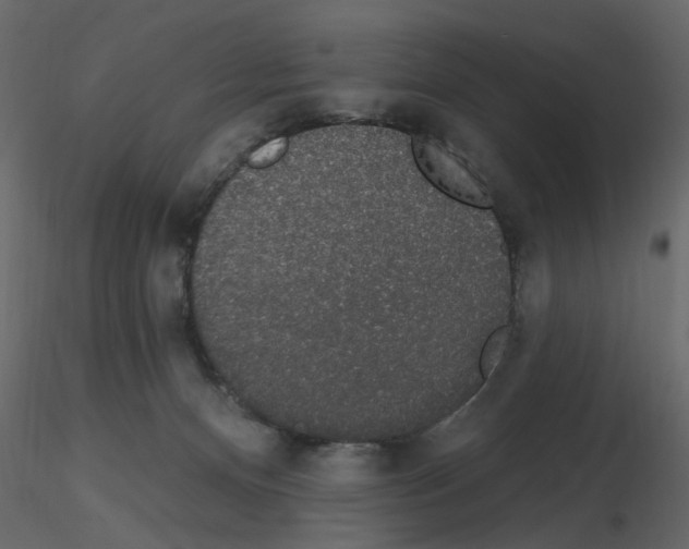 X0000115710128200912241552