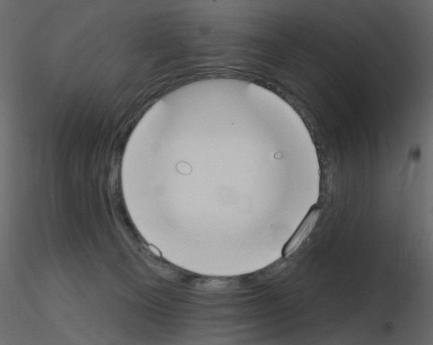 X0000115710129200912241552