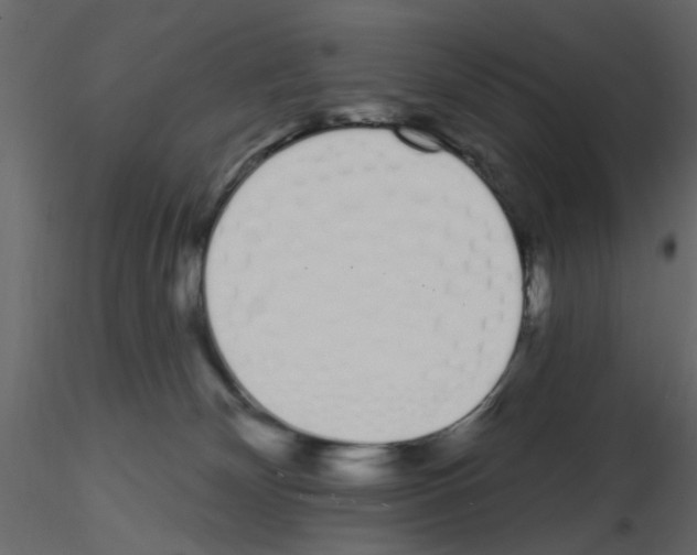 X0000115710132200912241552