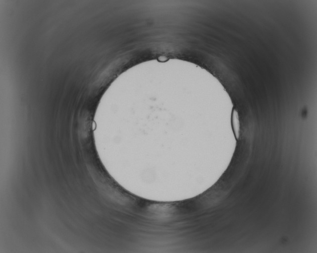 X0000115710133200912241552