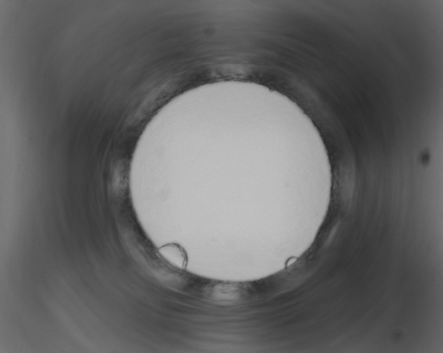 X0000115710134200912241552