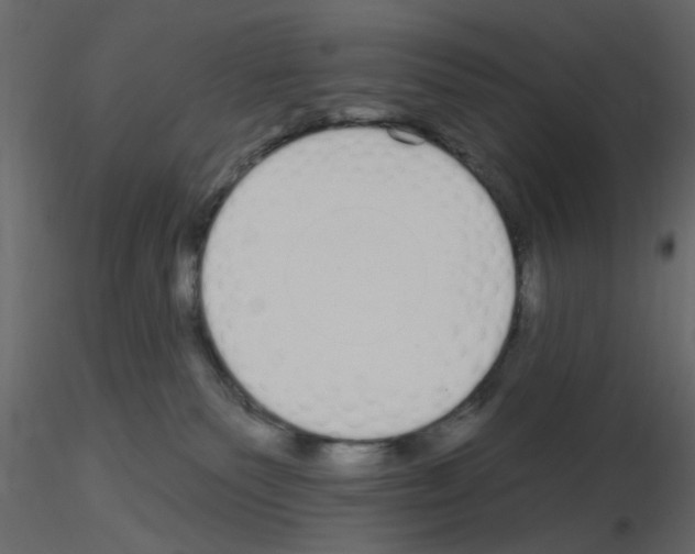 X0000115710135200912241552