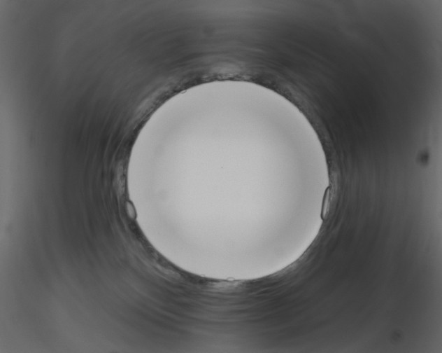 X0000115710136200912241552