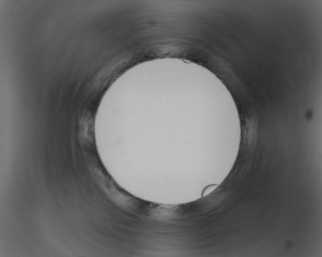 X0000115710138200912241552