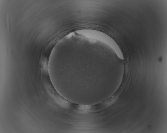 X0000115710143200912241552