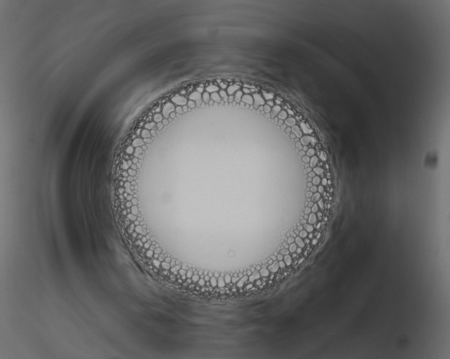 X0000115710146200912241551