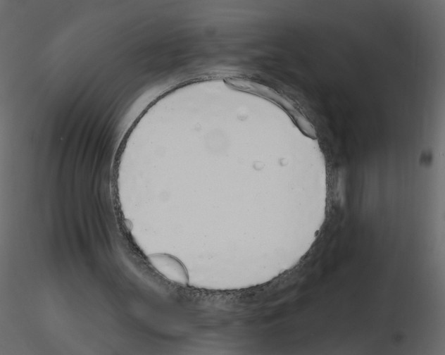 X0000115710147200912241551