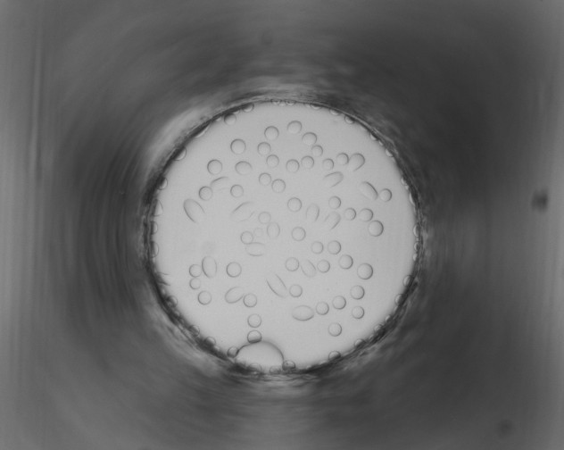 X0000115710149200912241551