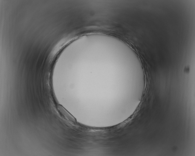 X0000115710150200912241551