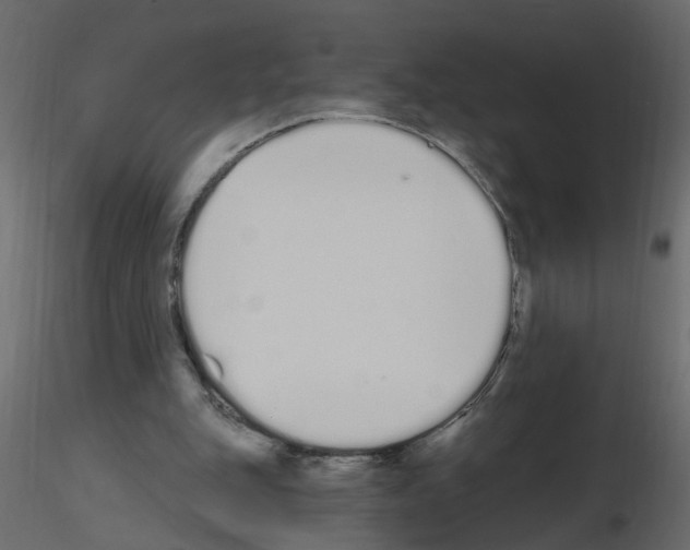 X0000115710151200912241551