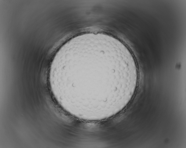 X0000115710153200912241551