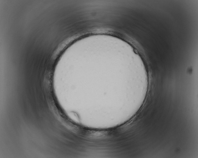 X0000115710155200912241551