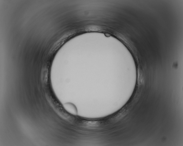 X0000115710157200912241551