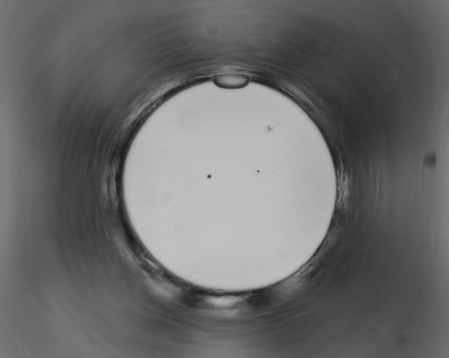 X0000115710158200912241551