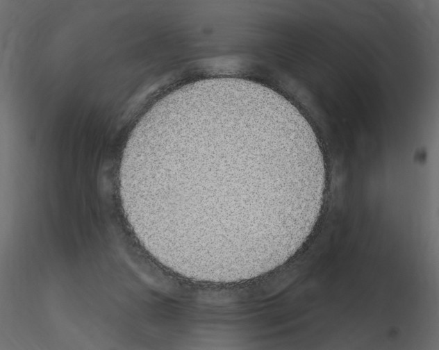 X0000115710161200912241551