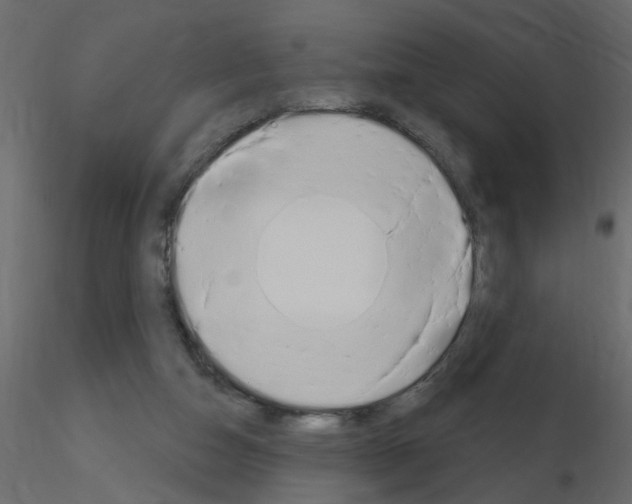 X0000115710162200912241551