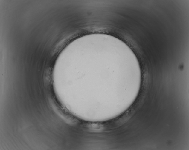 X0000115710165200912241551