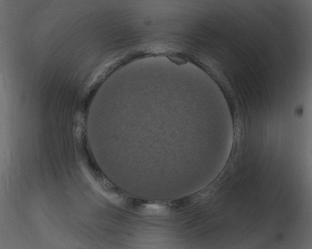 X0000115710167200912241551