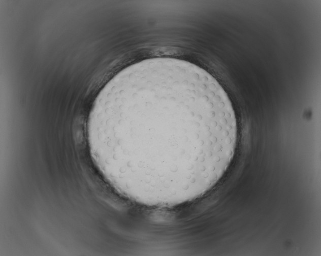 X0000115710169200912241551