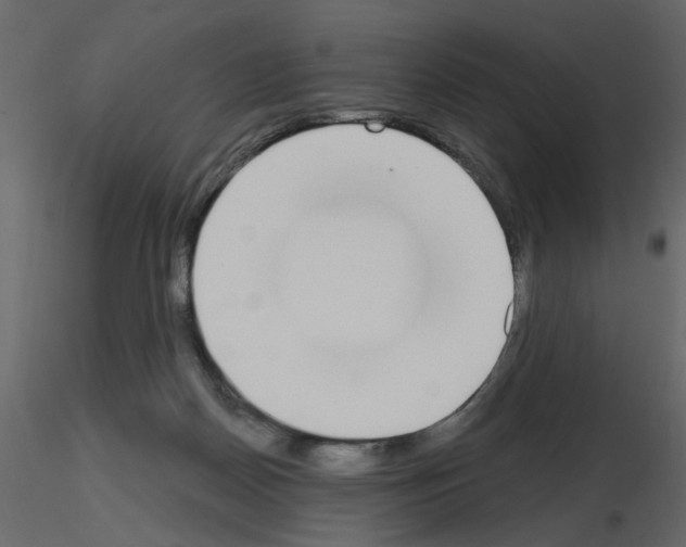 X0000115710170200912241551