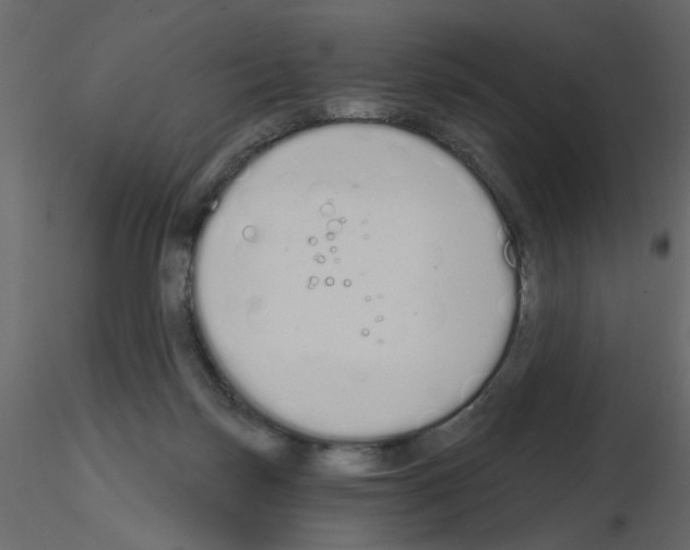 X0000115710171200912241551