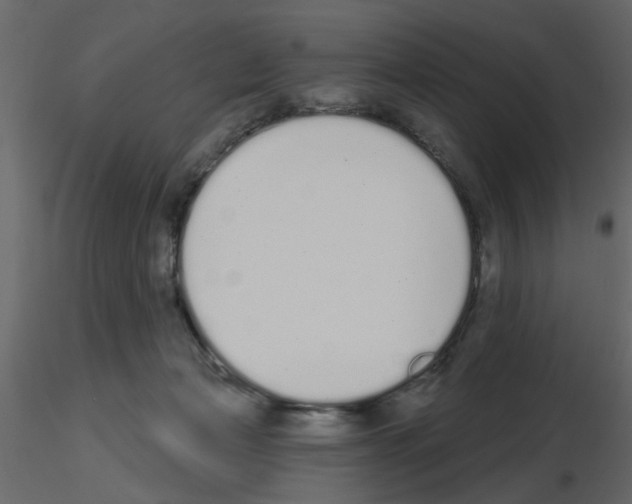 X0000115710173200912241551