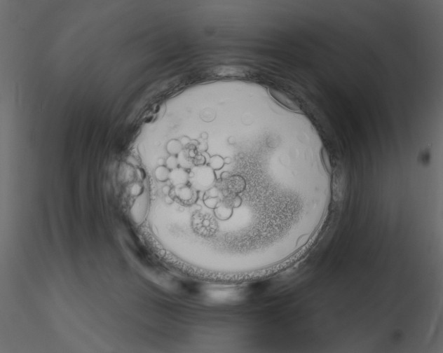 X0000115710175200912241551