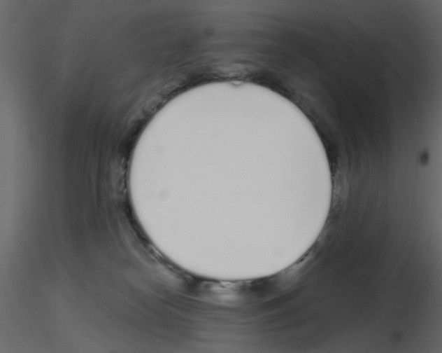 X0000115710182200912241551