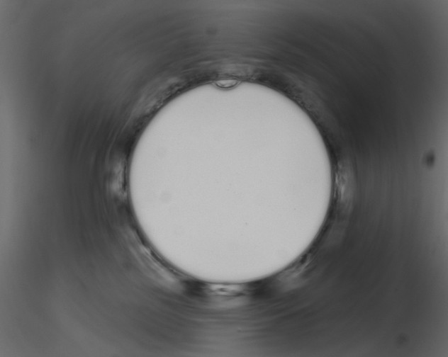 X0000115710185200912241551