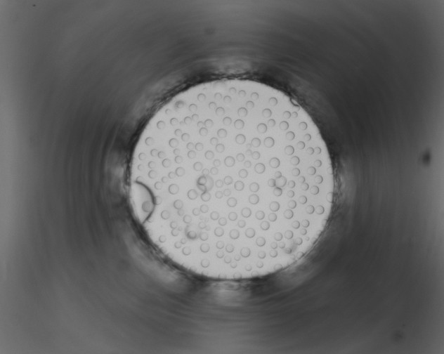 X0000115710187200912241551