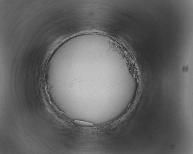 X0000115710193200912241551