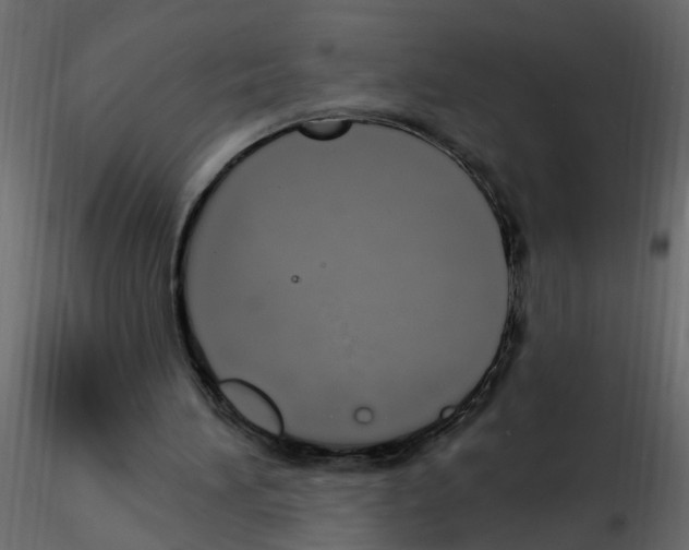 X0000115710196200912241551