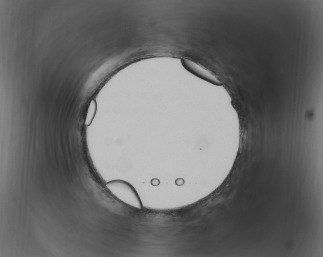 X0000115710197200912241551