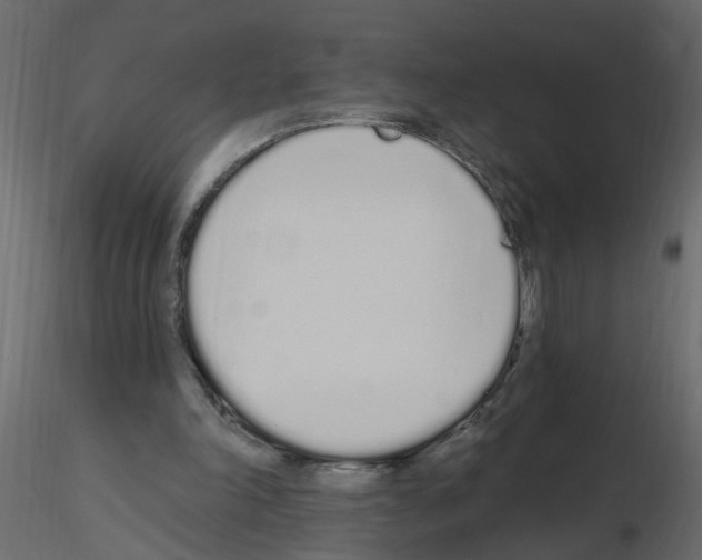 X0000115710198200912241551