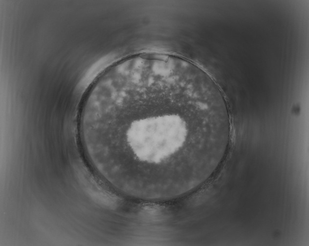 X0000115710199200912241551