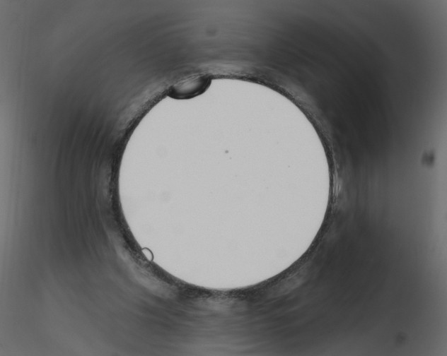 X0000115710201200912241551