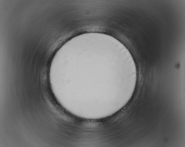 X0000115710202200912241551